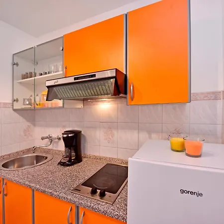 Apartman Novigrad 6951a *
