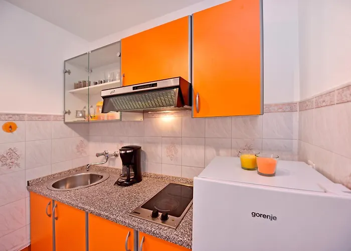 Apartment Novigrad 6951a *